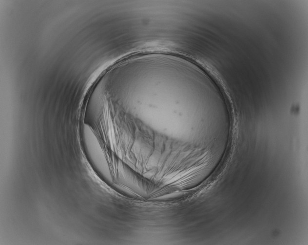 X0000114420941200911131448