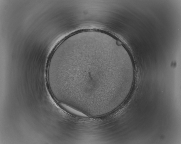 X0000114420943200911131448