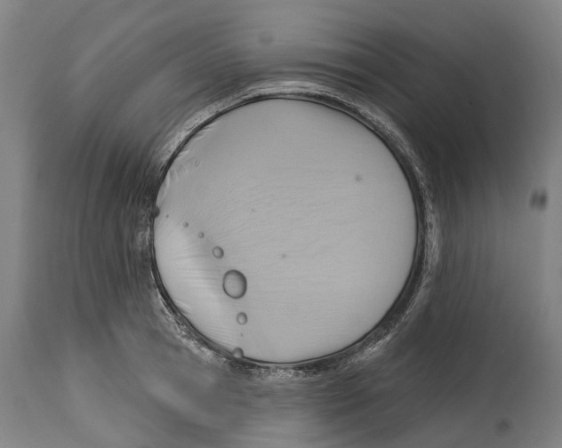 X0000114420945200911131448