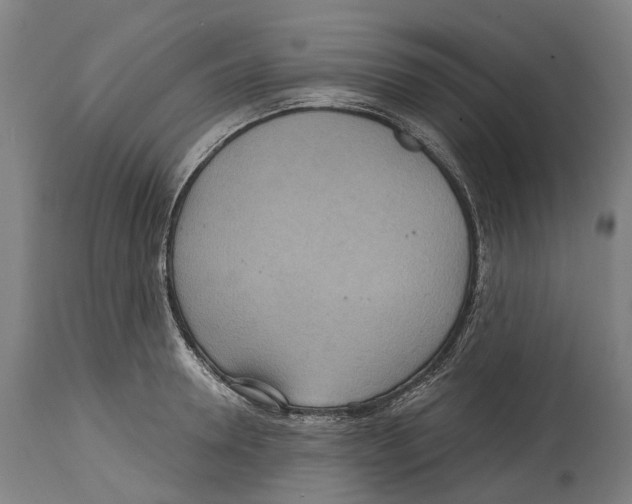 X0000114420946200911131448