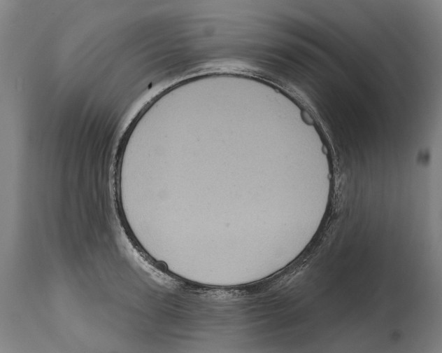 X0000114420947200911131448