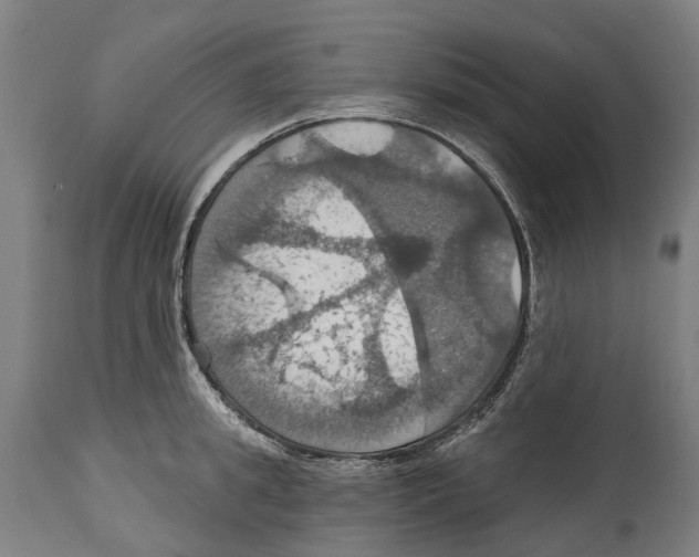 X0000114420949200911131448