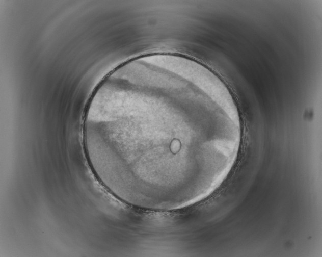 X0000114420950200911131448