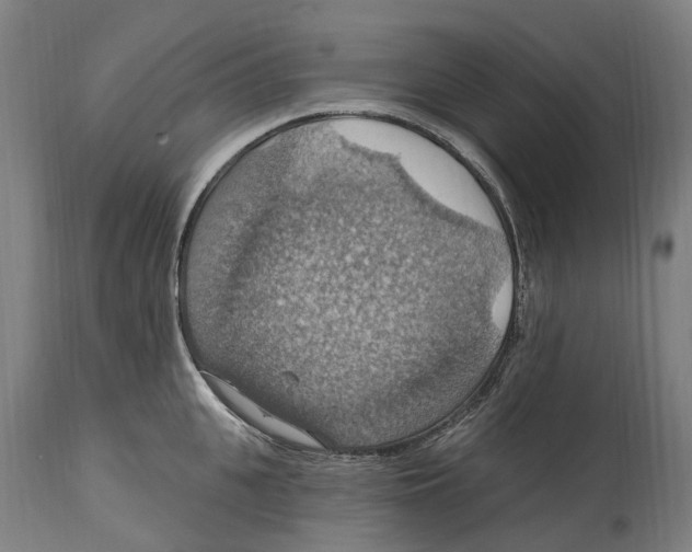 X0000114420951200911131448