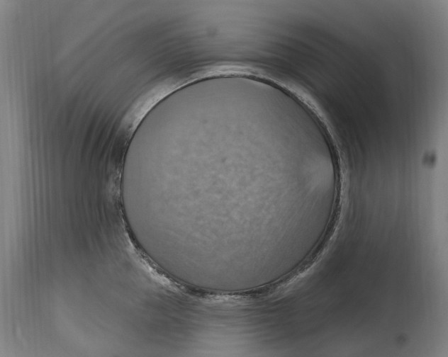 X0000114420953200911131448