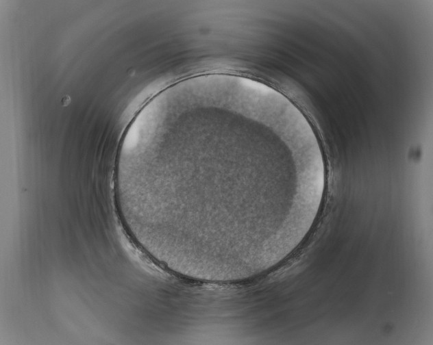 X0000114420954200911131448