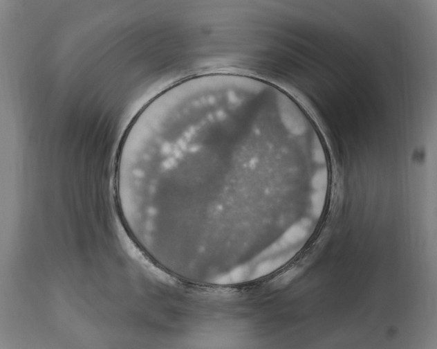 X0000114420957200911131448