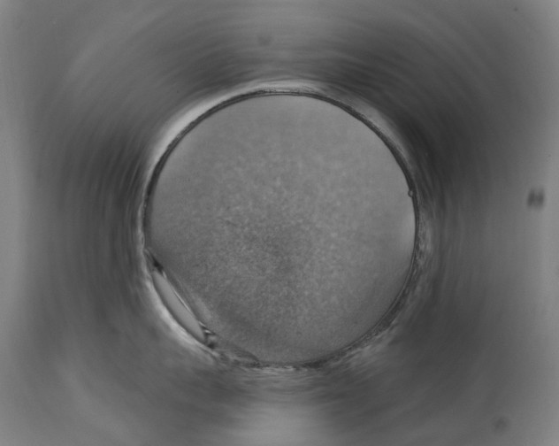 X0000114420959200911131448