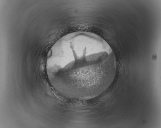 X0000114420962200911131447