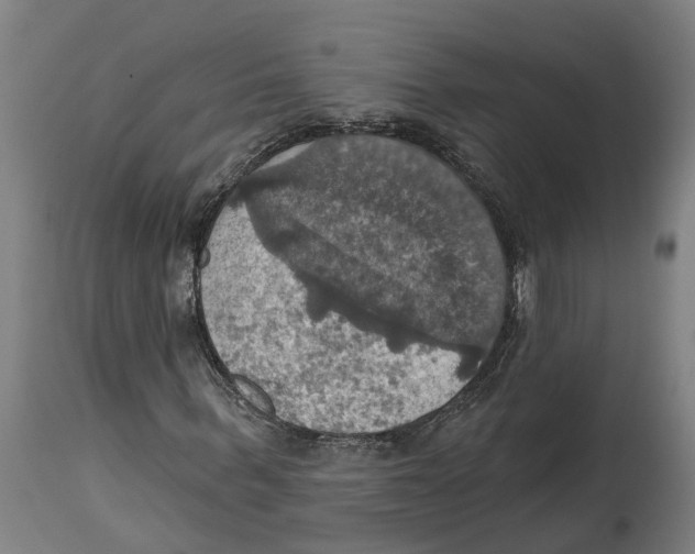 X0000114420963200911131447