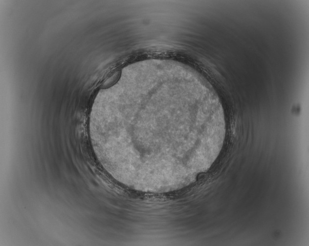 X0000114420964200911131447