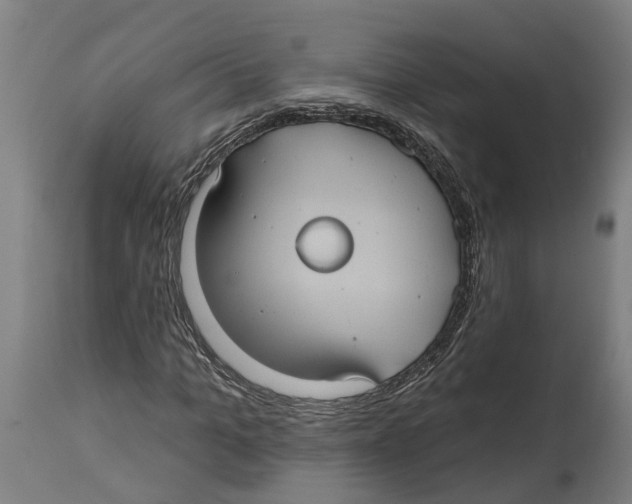 X0000114420965200911131447