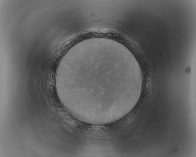 X0000114420966200911131447