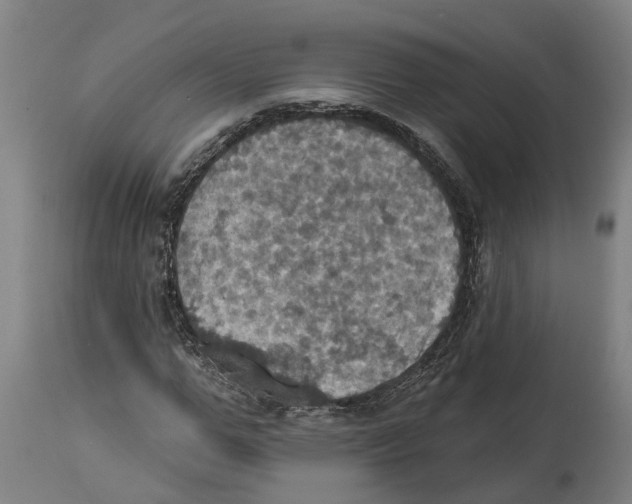 X0000114420967200911131447