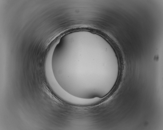 X0000114420969200911131447