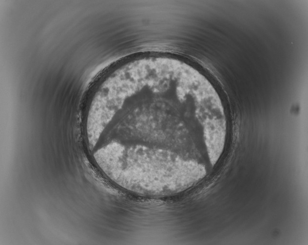 X0000114420971200911131447