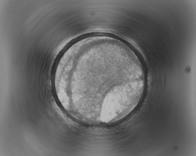 X0000114420972200911131447