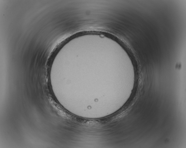 X0000114420974200911131447