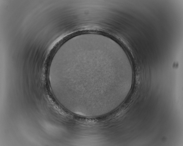 X0000114420975200911131447