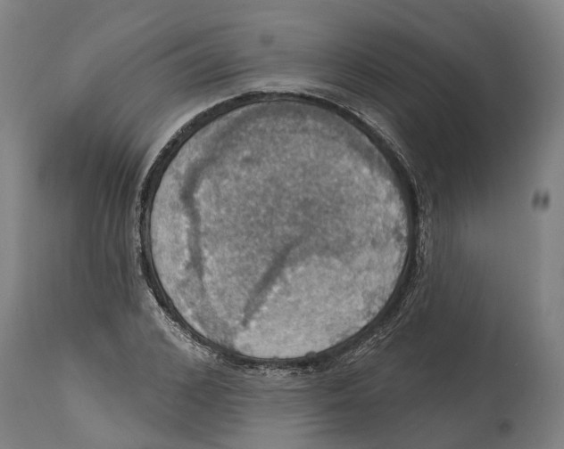 X0000114420976200911131447