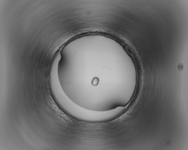 X0000114420977200911131447