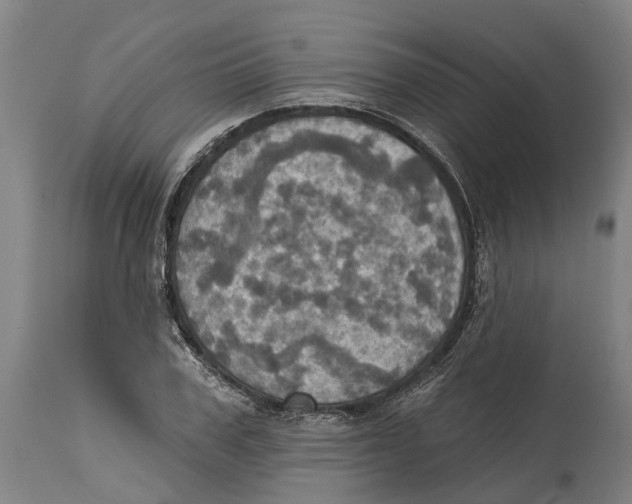 X0000114420979200911131447