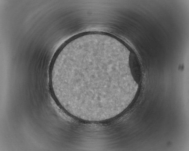 X0000114420980200911131447