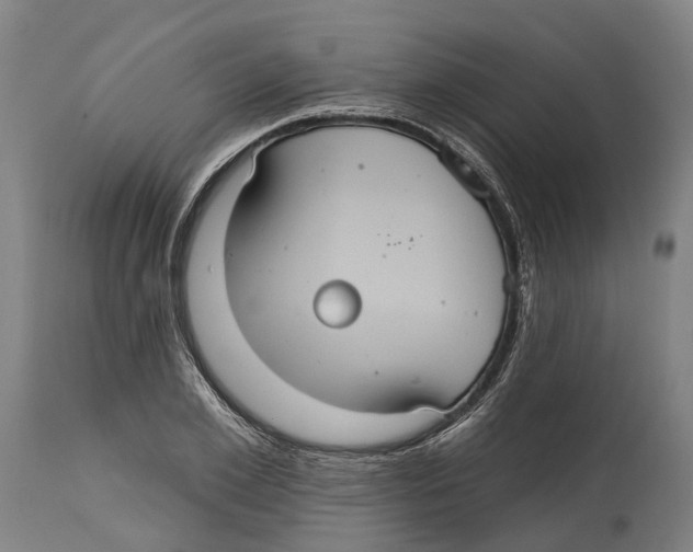 X0000114420981200911131447