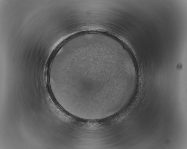 X0000114420983200911131447