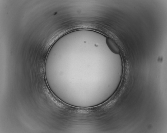 X0000114420985200911131447