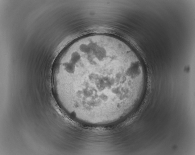 X0000114420986200911131447