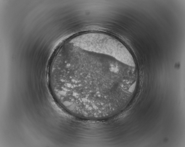 X0000114420987200911131447