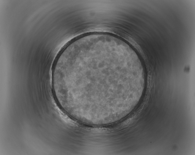 X0000114420988200911131447