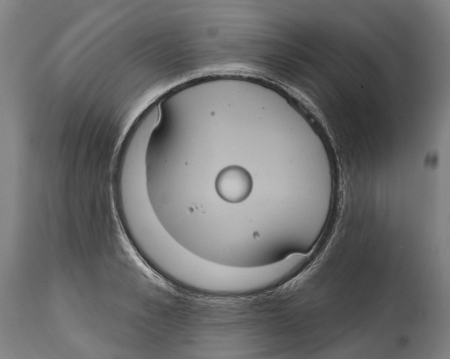 X0000114420989200911131447