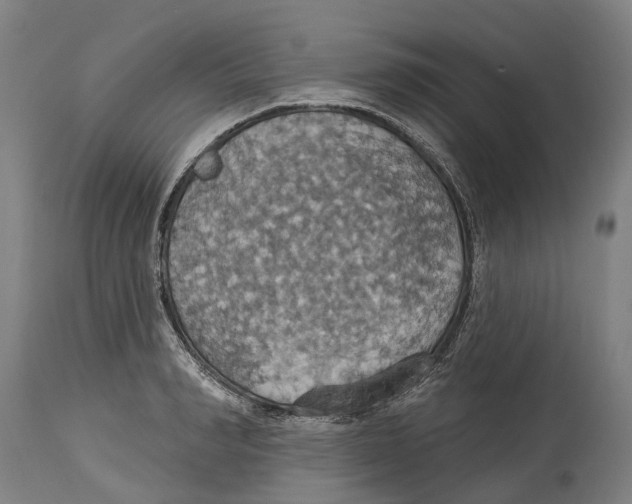 X0000114420990200911131447