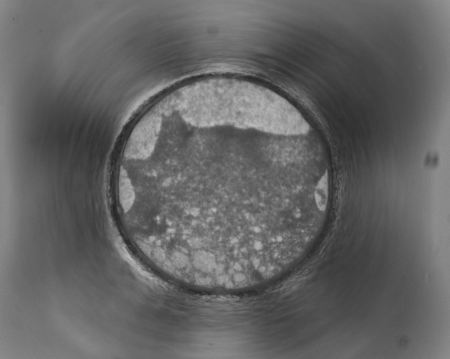 X0000114420991200911131447