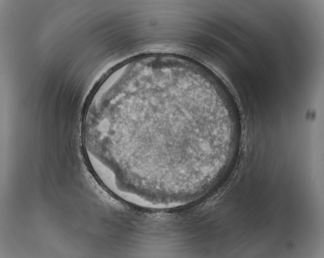 X0000114420992200911131447