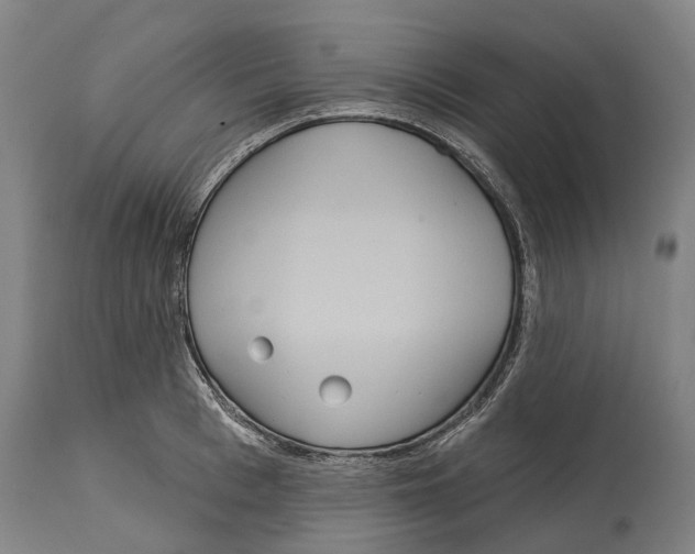 X0000114420993200911131447