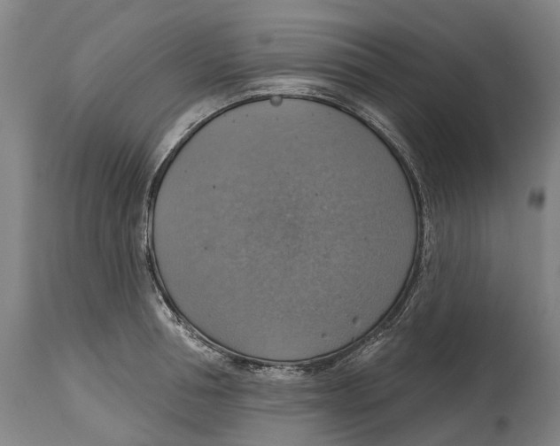 X0000114420994200911131447