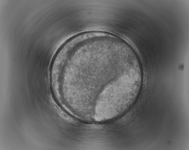 X0000114420996200911131447