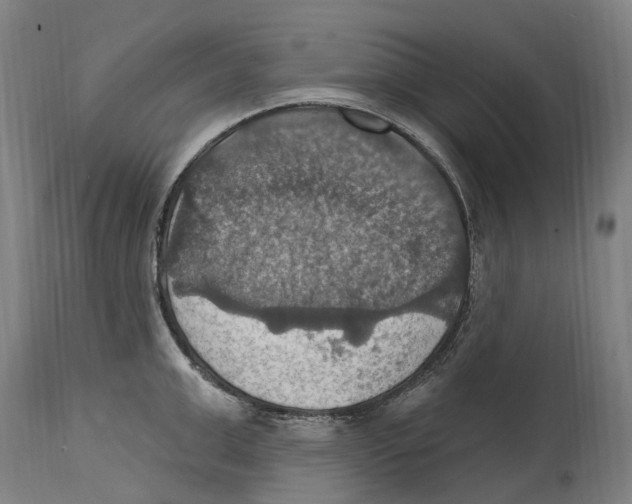 X0000114420999200911131447