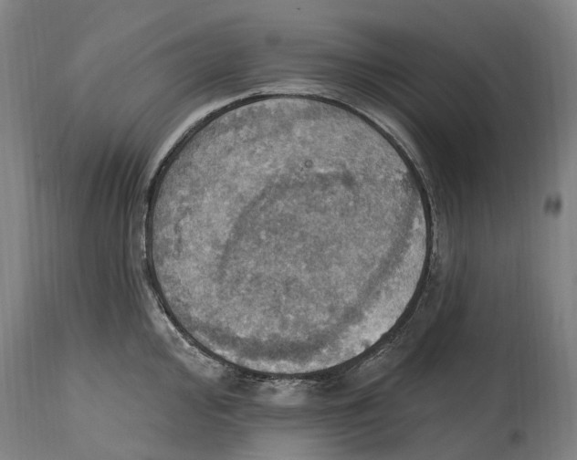 X0000114421000200911131447