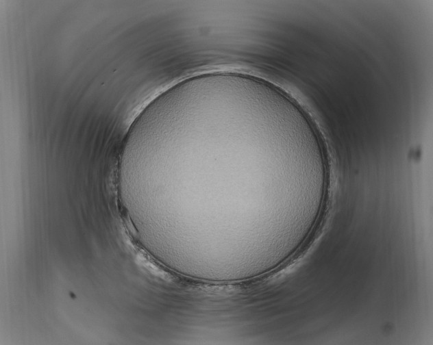 X0000114421001200911131447