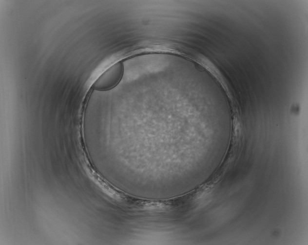 X0000114421002200911131447