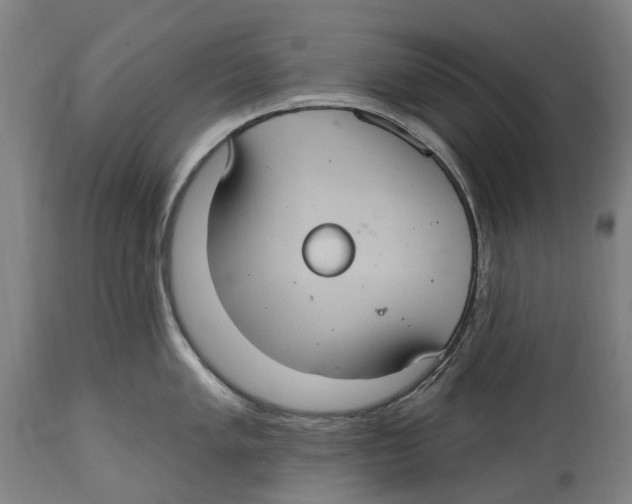 X0000114421005200911131447