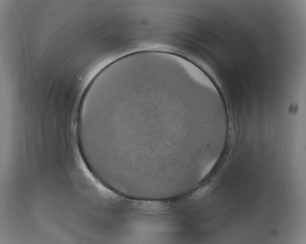 X0000114421007200911131447