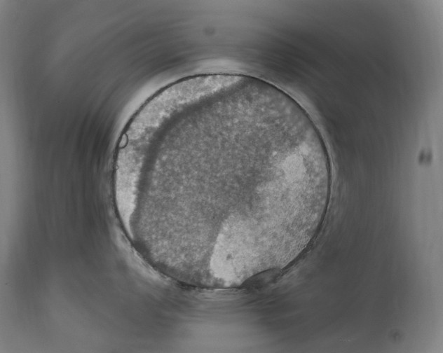 X0000114421008200911131447