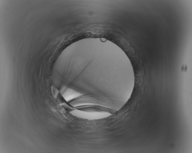 X0000114421009200911131446