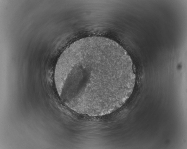 X0000114421010200911131446