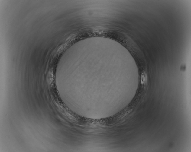 X0000114421011200911131446